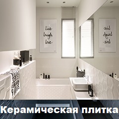 Тюльпаны