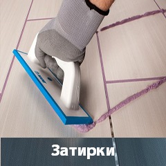 Тюльпаны